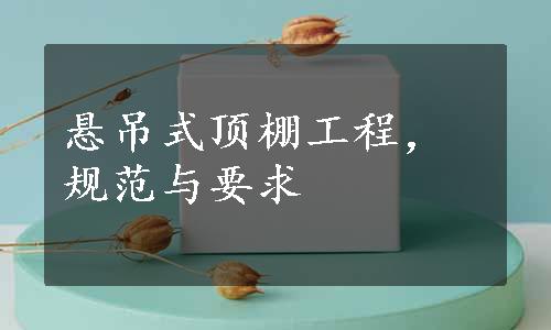 悬吊式顶棚工程，规范与要求