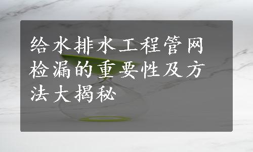 给水排水工程管网检漏的重要性及方法大揭秘