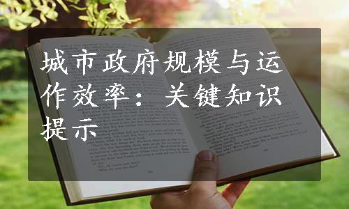 城市政府规模与运作效率：关键知识提示