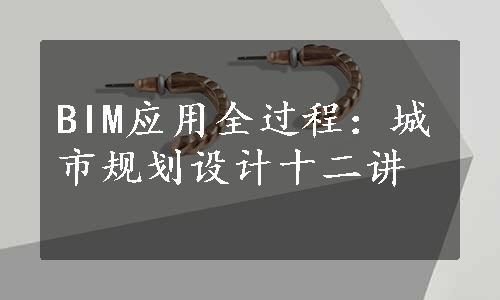 BIM应用全过程：城市规划设计十二讲