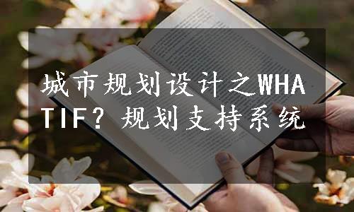 城市规划设计之WHATIF？规划支持系统