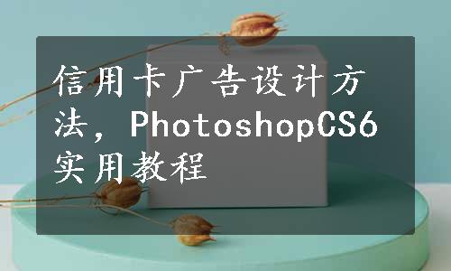 信用卡广告设计方法，PhotoshopCS6实用教程