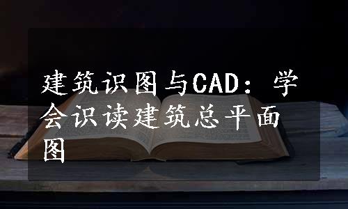 建筑识图与CAD：学会识读建筑总平面图