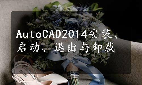 AutoCAD2014安装、启动、退出与卸载