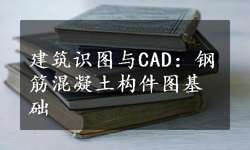 建筑识图与CAD：钢筋混凝土构件图基础