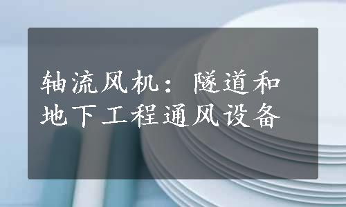 轴流风机：隧道和地下工程通风设备