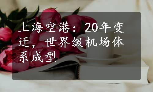 上海空港：20年变迁，世界级机场体系成型