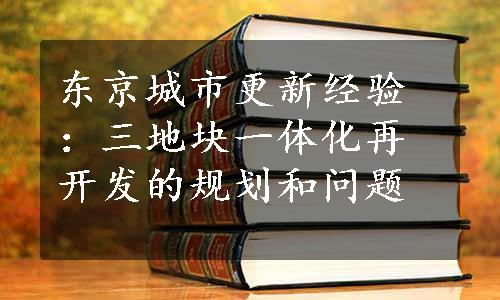 东京城市更新经验：三地块一体化再开发的规划和问题