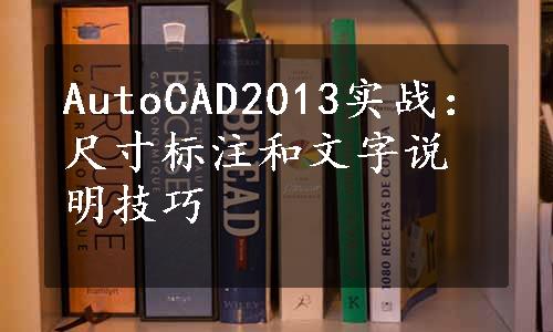 AutoCAD2013实战：尺寸标注和文字说明技巧