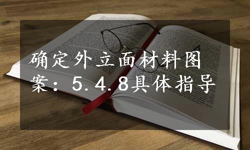 确定外立面材料图案：5.4.8具体指导