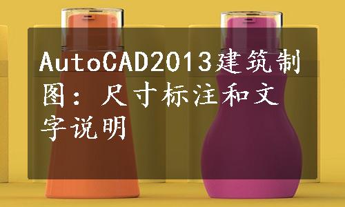 AutoCAD2013建筑制图：尺寸标注和文字说明