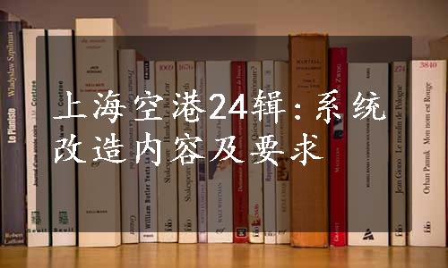 上海空港24辑:系统改造内容及要求