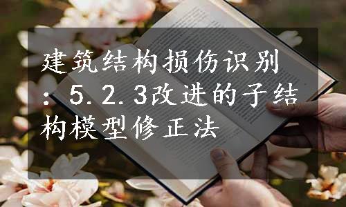 建筑结构损伤识别：5.2.3改进的子结构模型修正法