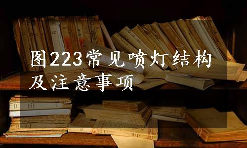 图223常见喷灯结构及注意事项