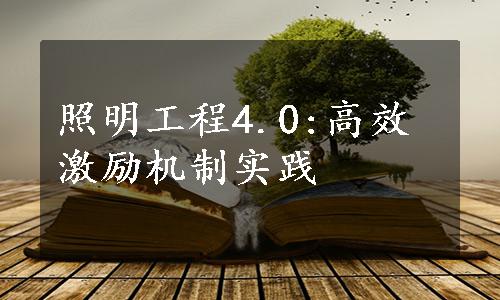 照明工程4.0:高效激励机制实践