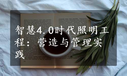 智慧4.0时代照明工程：营造与管理实践