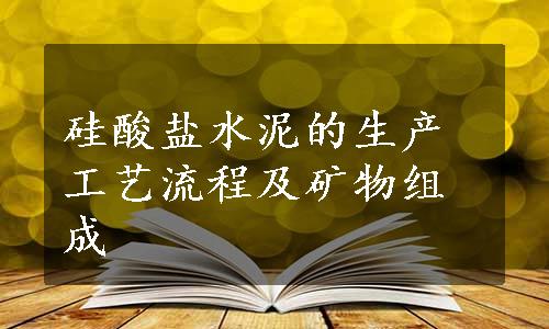 硅酸盐水泥的生产工艺流程及矿物组成