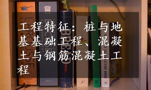 工程特征：桩与地基基础工程、混凝土与钢筋混凝土工程