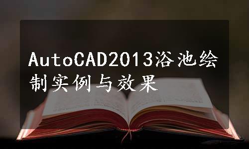 AutoCAD2013浴池绘制实例与效果