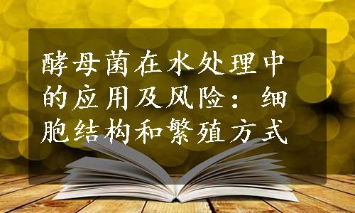 酵母菌在水处理中的应用及风险：细胞结构和繁殖方式