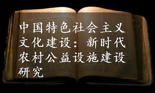 中国特色社会主义文化建设：新时代农村公益设施建设研究