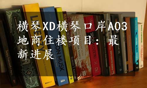 横琴XD横琴口岸A03地商住楼项目：最新进展