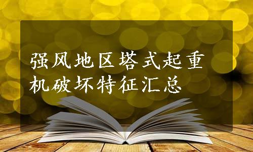 强风地区塔式起重机破坏特征汇总