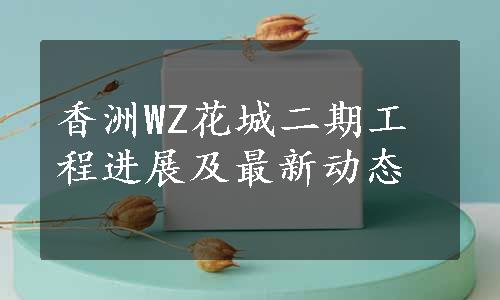 香洲WZ花城二期工程进展及最新动态