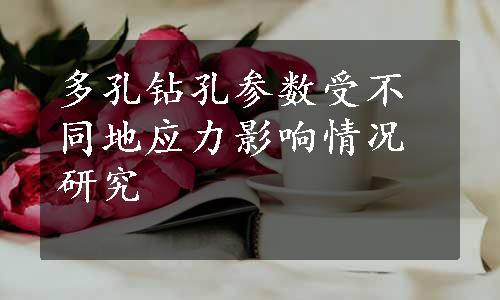 多孔钻孔参数受不同地应力影响情况研究