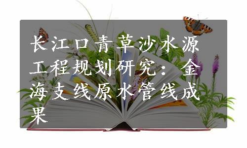 长江口青草沙水源工程规划研究：金海支线原水管线成果