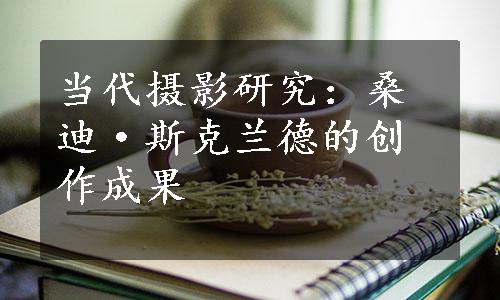 当代摄影研究：桑迪·斯克兰德的创作成果