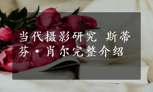 当代摄影研究 斯蒂芬·肖尔完整介绍