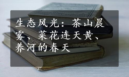 生态风光：茶山晨雾、菜花连天黄、养河的春天