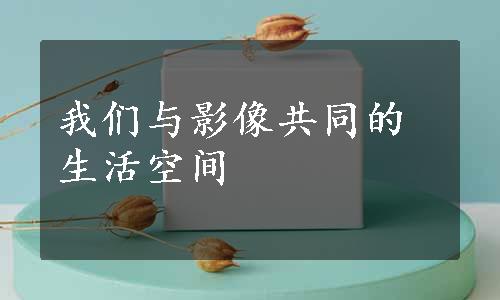 我们与影像共同的生活空间