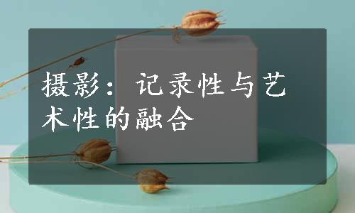 摄影：记录性与艺术性的融合