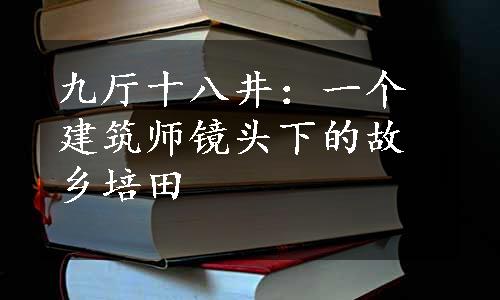 九厅十八井：一个建筑师镜头下的故乡培田