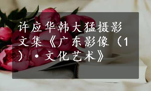 许应华韩大猛摄影文集《广东影像（1）·文化艺术》