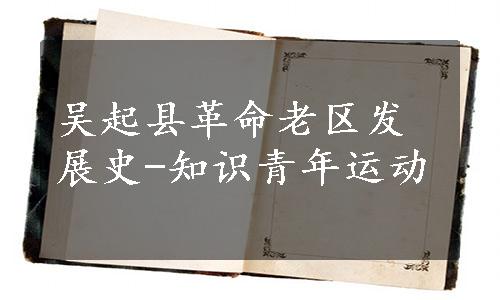 吴起县革命老区发展史-知识青年运动