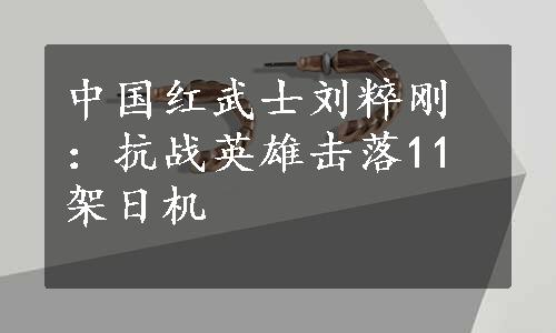 中国红武士刘粹刚：抗战英雄击落11架日机