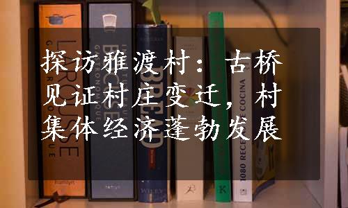 探访雅渡村：古桥见证村庄变迁，村集体经济蓬勃发展