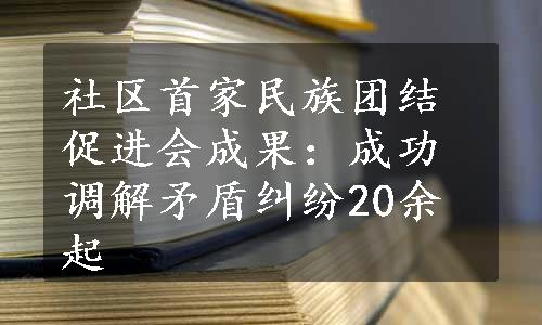 社区首家民族团结促进会成果：成功调解矛盾纠纷20余起