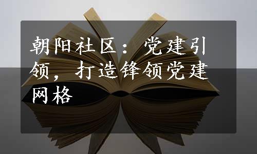 朝阳社区：党建引领，打造锋领党建网格