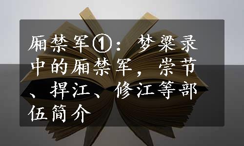 厢禁军①：梦粱录中的厢禁军，崇节、捍江、修江等部伍简介