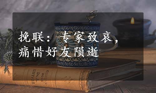 挽联：专家致哀，痛惜好友陨逝