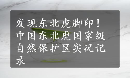 发现东北虎脚印！中国东北虎国家级自然保护区实况记录