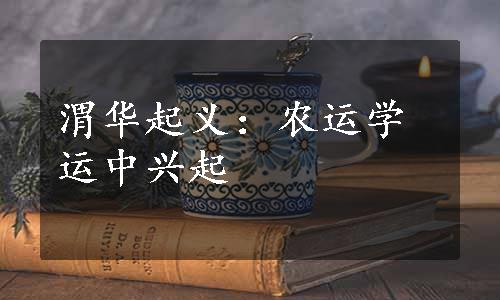 渭华起义：农运学运中兴起