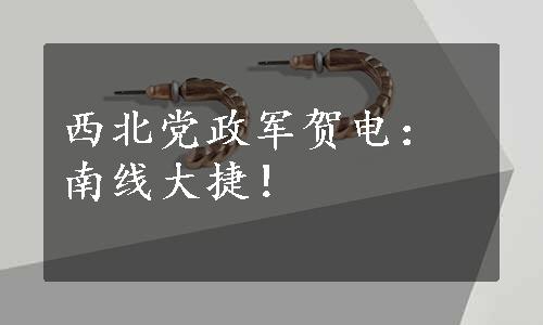 西北党政军贺电：南线大捷！