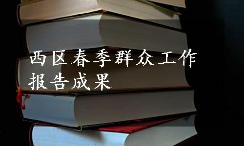 西区春季群众工作报告成果