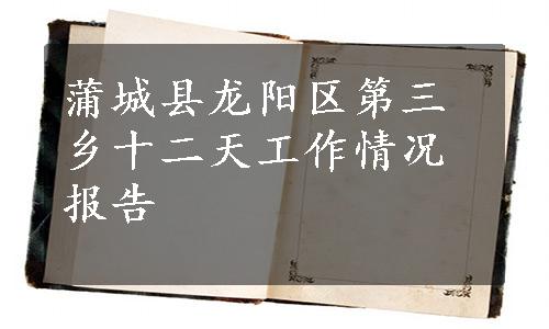 蒲城县龙阳区第三乡十二天工作情况报告