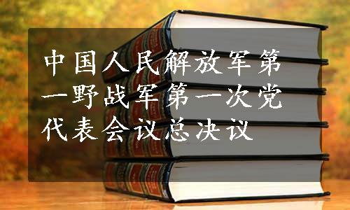 中国人民解放军第一野战军第一次党代表会议总决议